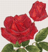 Схема вышивки "Красная роза с бутоном"